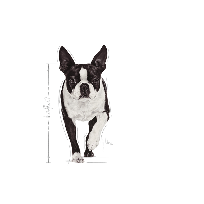 Royal Canin Relax Care Mini koiralle 3 kg