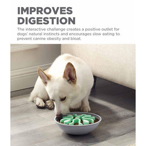 Outward Hound Fun Feeder Wobble Slow Bowl koiralle minttu