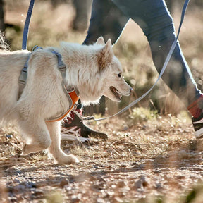 Hurtta Multilong talutin ECO 100-300 x 2 cm