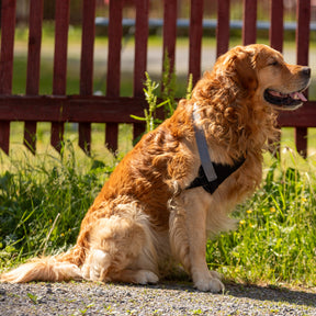 Taituki Olkaniveltuki XXS