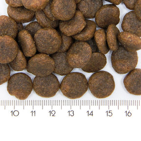 ProBooster Adult Hypoallergenic koiralle 2 kg