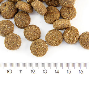 ProBooster Adult Light & Senior Chicken koiralle 3 kg