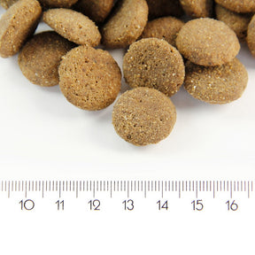 ProBooster Adult Maxi Chicken koiralle 12 kg