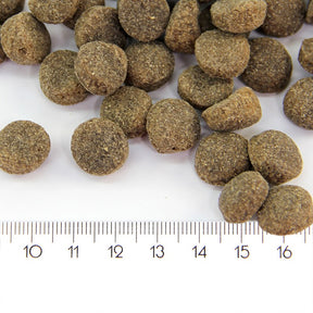 ProBooster Adult Sensitive Lamb koiralle 2 kg