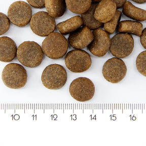 ProBooster Adult Sensitive Salmon koiralle 2 kg