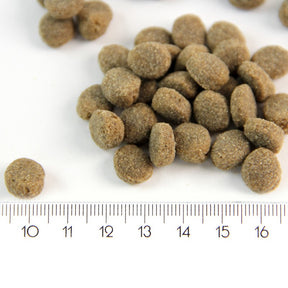 ProBooster Puppy Sensitive Lamb koiralle 2 kg