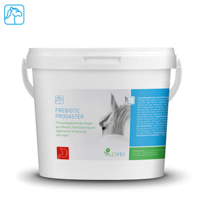 Valetumed Prebiotic Progaster