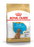 Royal Canin Poodle Puppy koiralle 3 kg