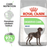 Royal Canin Digestive Care Maxi koiralle 12 kg