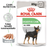Royal Canin Digestive Care koiralle 12 x 85 g
