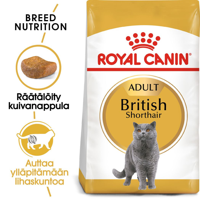 Royal Canin British Shorthair Adult kissalle 10 kg