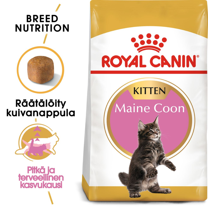 Royal Canin Maine Coon Kitten kissalle 10 kg