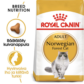 Royal Canin Norwegian Forest Cat kissalle 10 kg