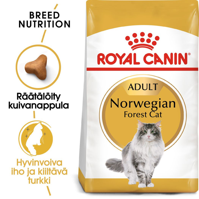 Royal Canin Norwegian Forest Cat kissalle 10 kg