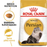Royal Canin Persian Adult kissalle 10 kg
