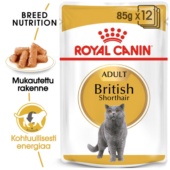 Royal Canin British Shorthair Adult kissalle 12 x 85 g