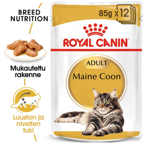 Royal Canin Maine Coon Adult kissalle 12 x 85 g
