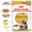 Royal Canin Maine Coon Adult kissalle 12 x 85 g