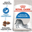 Royal Canin Indoor kissalle 2 kg