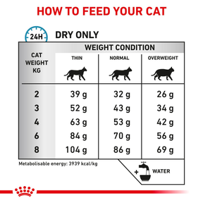 Royal Canin Veterinary Diets Derma Anallergenic kissan kuivaruoka 4 kg