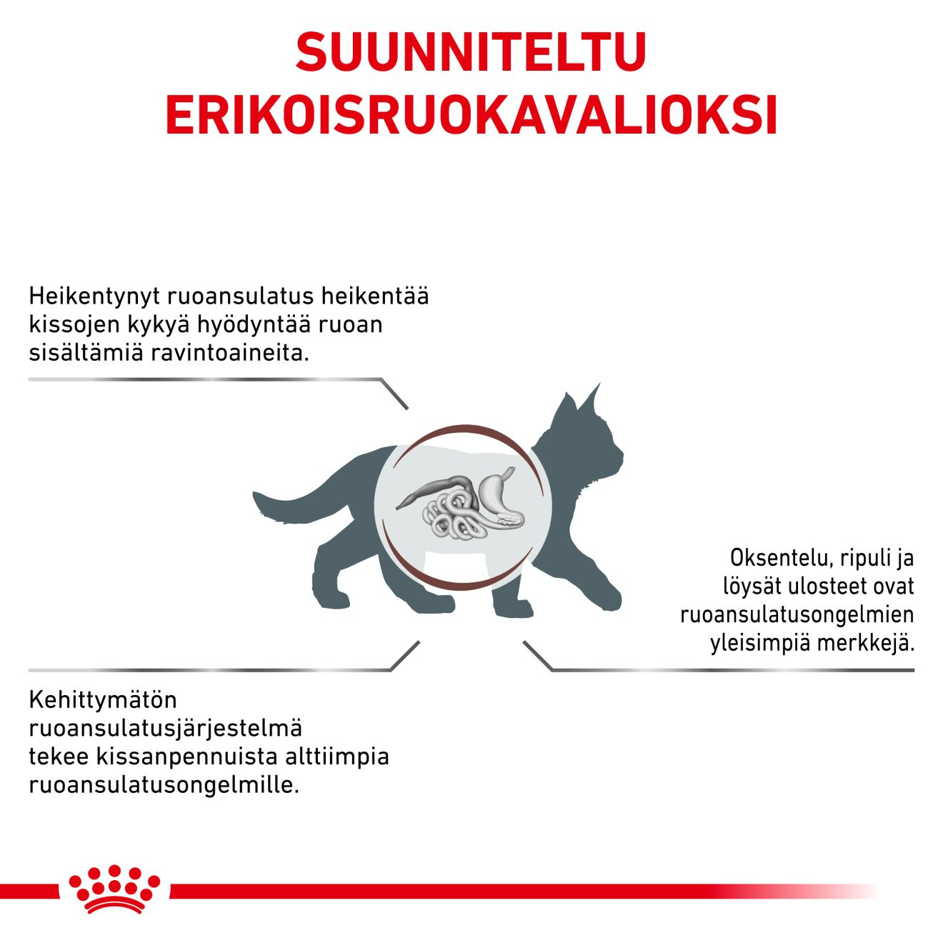 Royal Canin Veterinary Diets Gastrointestinal Kitten kissan kuivaruoka 400 g PÄIVÄYSTARJOUS