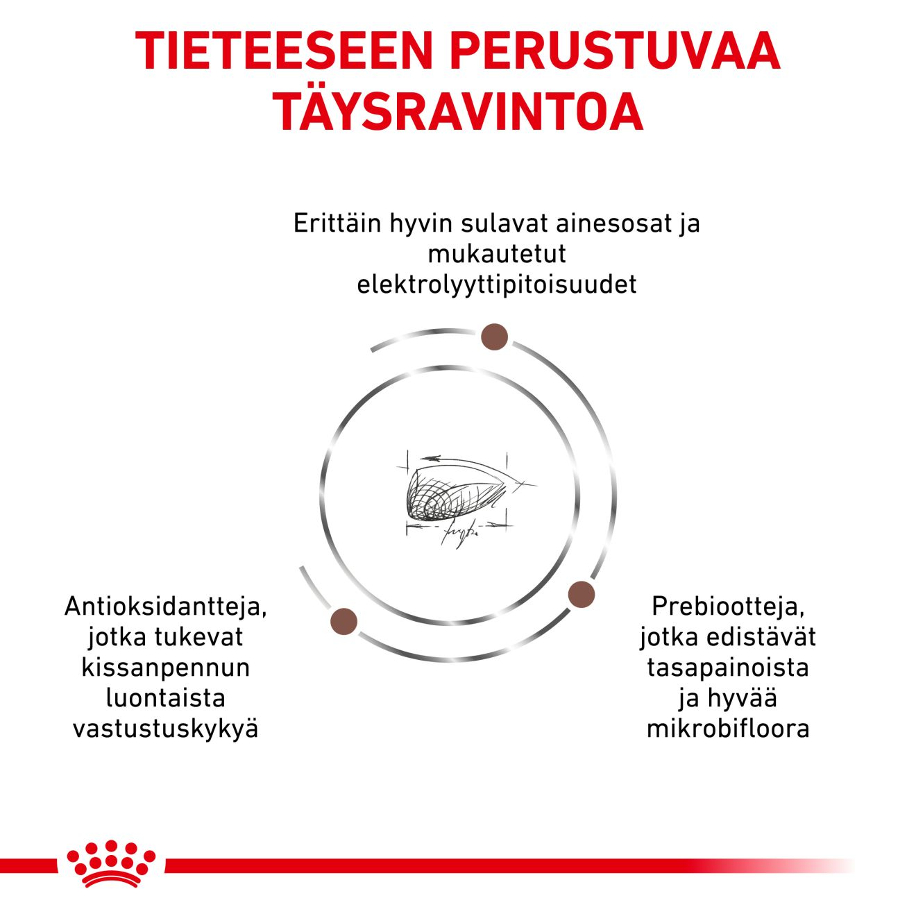 Royal Canin Veterinary Diets Gastrointestinal Kitten kissan kuivaruoka 400 g PÄIVÄYSTARJOUS