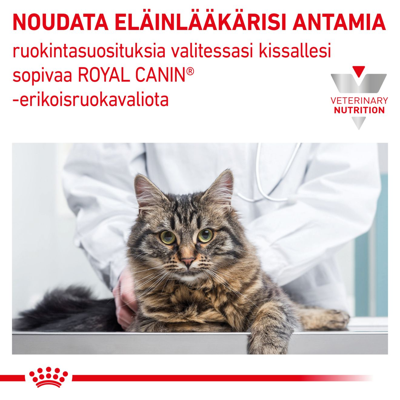 Royal Canin Veterinary Diets Gastrointestinal Kitten kissan kuivaruoka 2 kg