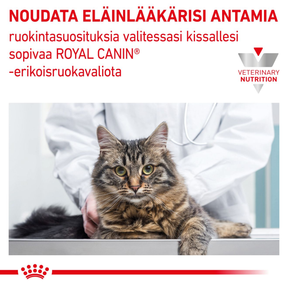 Royal Canin Veterinary Diets Gastrointestinal Kitten kissan kuivaruoka 400 g PÄIVÄYSTARJOUS