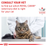 Royal Canin Veterinary Diets Derma Hypoallergenic kissan kuivaruoka 2,5 kg