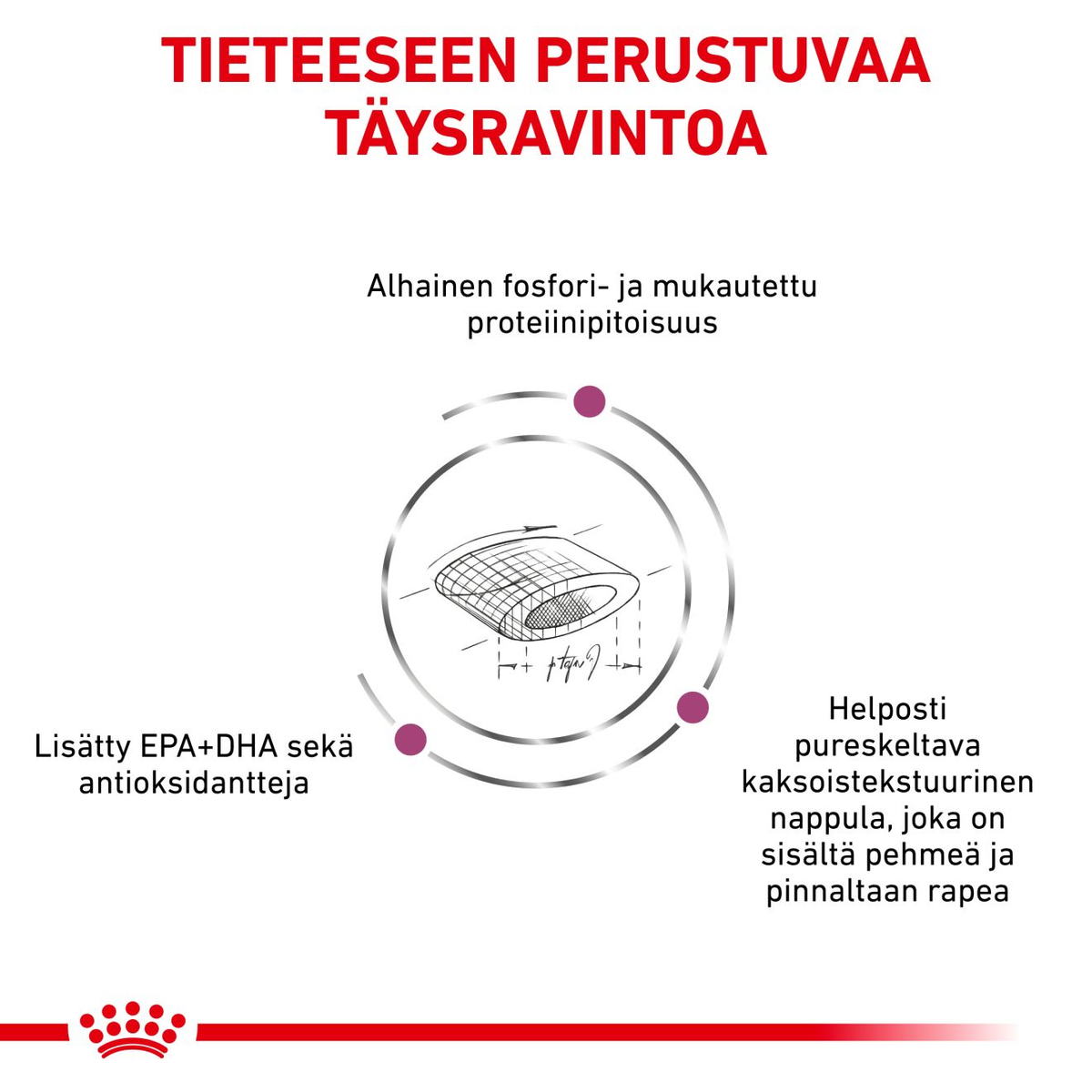 Royal Canin Veterinary Diets Renal Select kissan kuivaruoka 4 kg