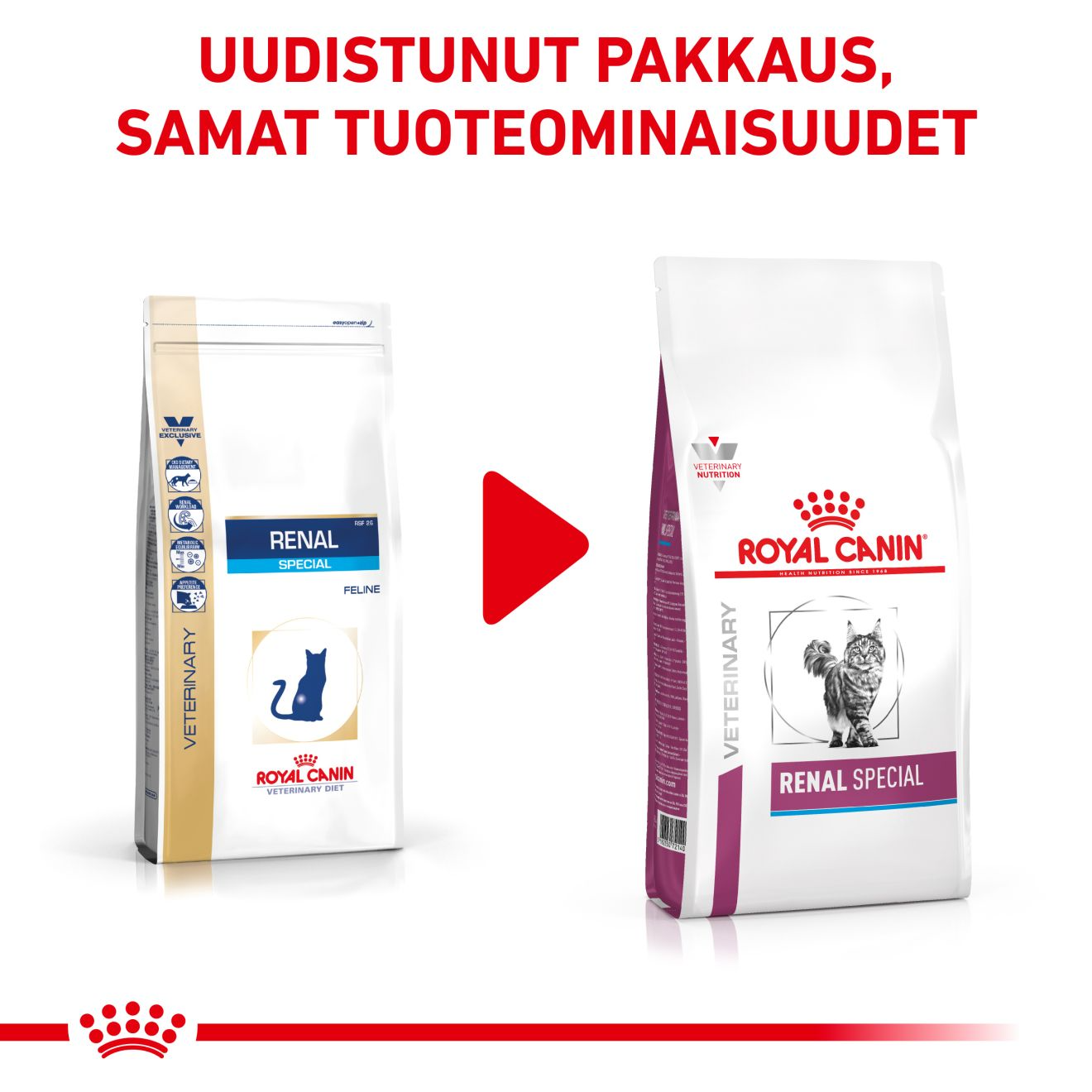 Royal Canin Veterinary Diets Renal Special kissan kuivaruoka 4 kg
