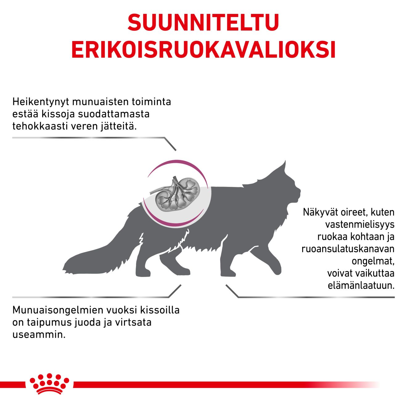 Royal Canin Veterinary Diets Renal Special kissan kuivaruoka 4 kg