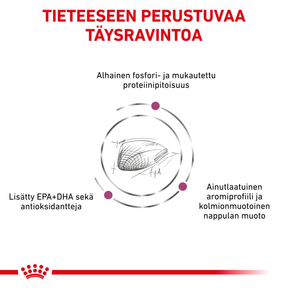 Royal Canin Veterinary Diets Renal Special kissan kuivaruoka 400 g