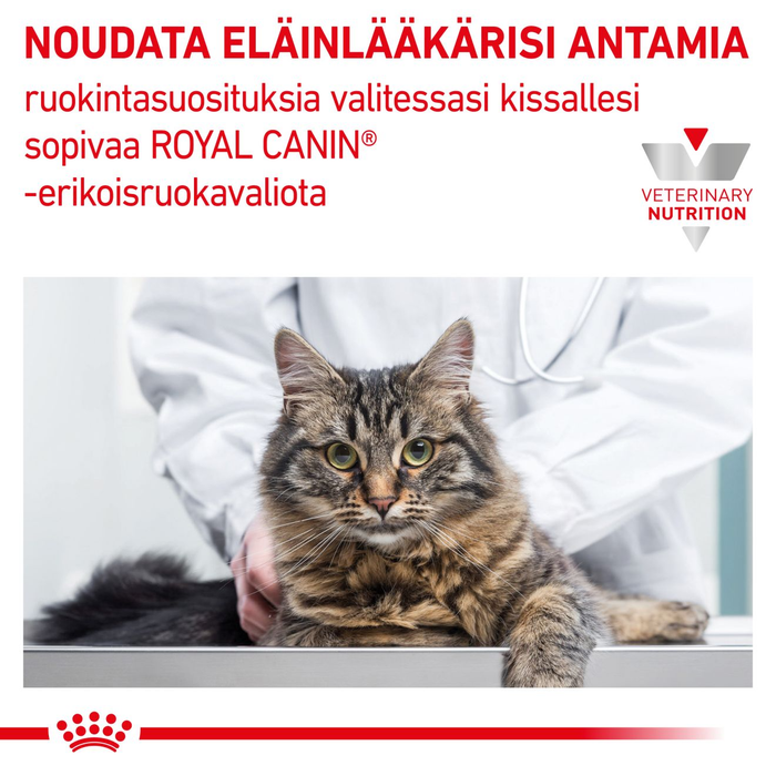 Royal Canin Veterinary Diets Renal Special kissan kuivaruoka 4 kg
