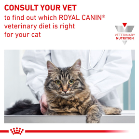 Royal Canin Veterinary Diets Derma Sensitivity Control kissan kuivaruoka 3,5 kg
