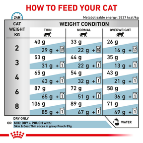 Royal Canin Veterinary Diets Derma Skin & Coat kissan kuivaruoka 3,5 kg