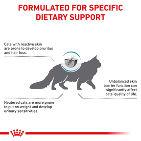 Royal Canin Veterinary Diets Derma Skin & Coat kissan kuivaruoka 3,5 kg