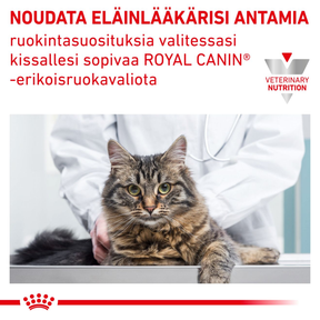 Royal Canin Veterinary Diets Urinary S/O kissan kuivaruoka 7 kg