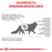 Royal Canin Veterinary Diets Urinary S/O Moderate Calorie kissan kuivaruoka 1,5 kg