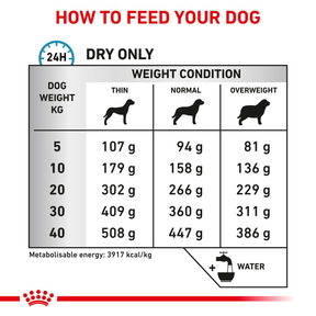 Royal Canin Veterinary Diets Derma Anallergenic koiran kuivaruoka 8 kg