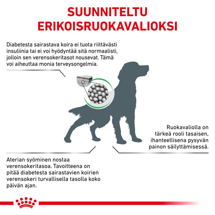 Royal Canin Veterinary Diets Weight Management Diabetic koiran kuivaruoka 7 kg