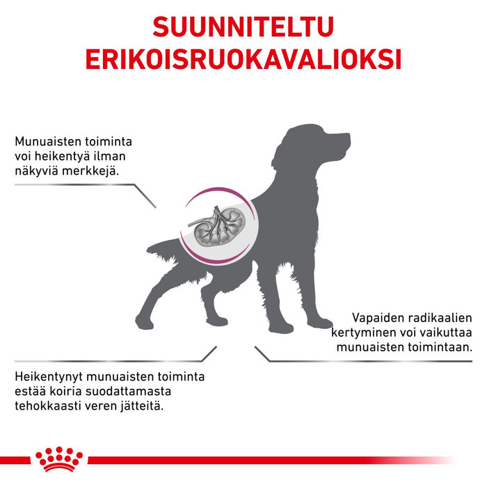Royal Canin Veterinary Diets Vital Early Renal koiran kuivaruoka 14 kg