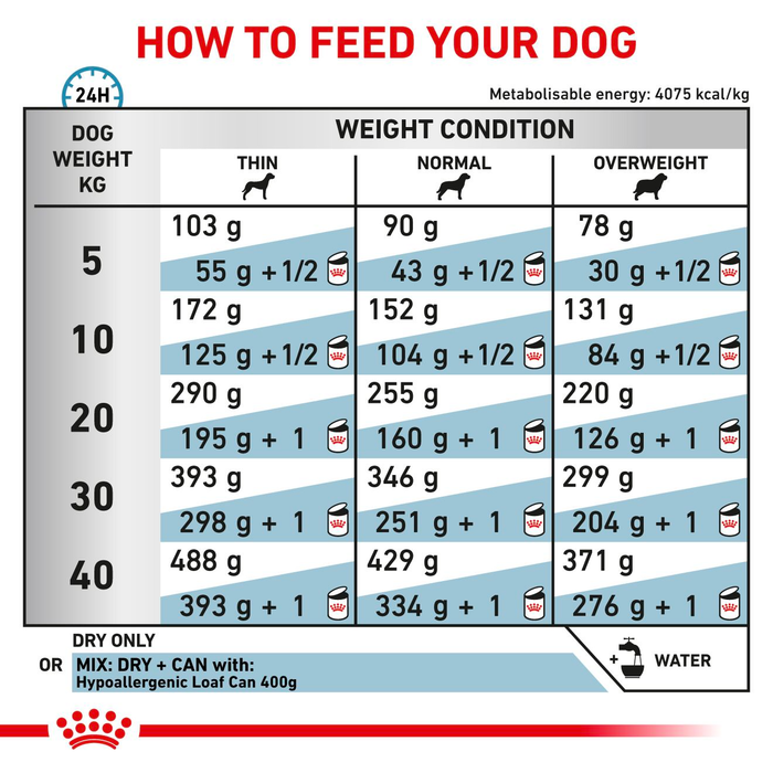 Royal Canin Veterinary Diets Derma Hypoallergenic koiran kuivaruoka 14 kg