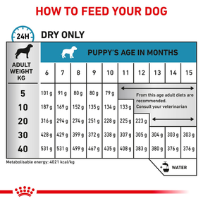 Royal Canin Veterinary Diets Derma Hypoallergenic Puppy koiran kuivaruoka 3,5 kg