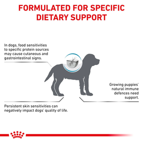 Royal Canin Veterinary Diets Derma Hypoallergenic Puppy koiran kuivaruoka 3,5 kg