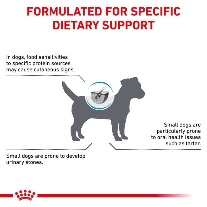 Royal Canin Veterinary Diets Derma Hypoallergenic Small Dogs koiran kuivaruoka 3,5 kg SUPERTARJOUS