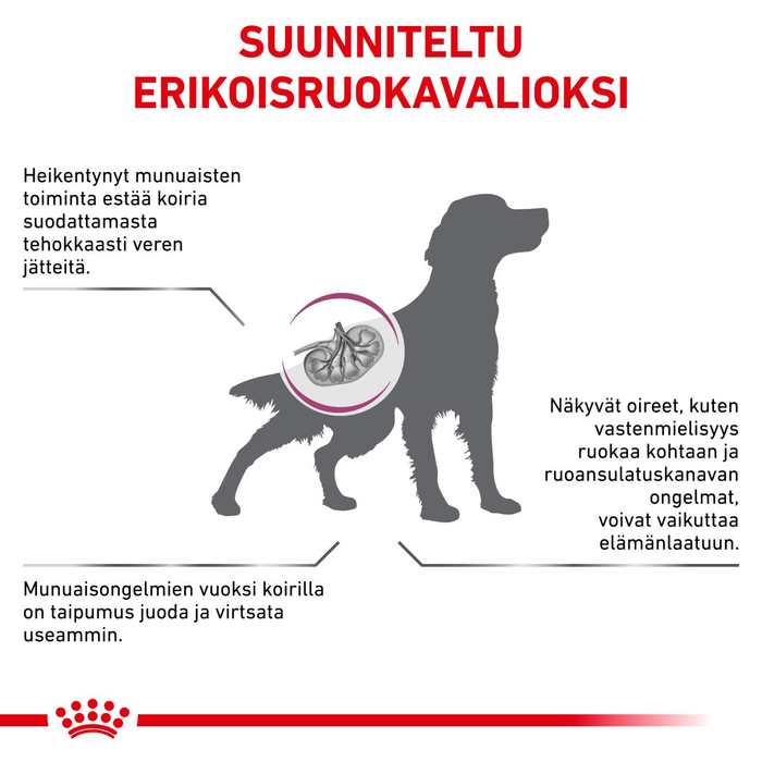 Royal Canin Veterinary Diets Renal koiran kuivaruoka 2 kg