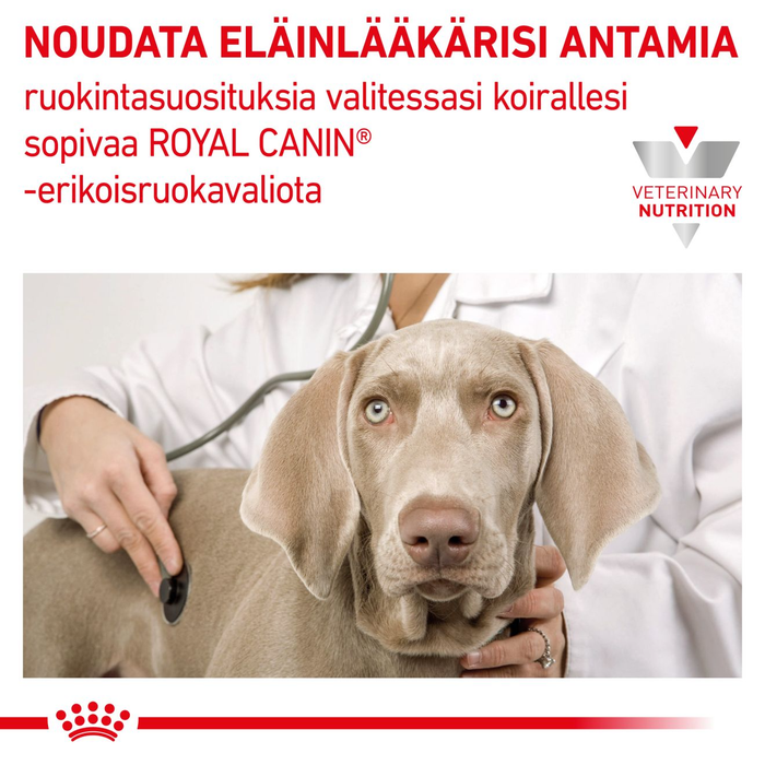 Royal Canin Veterinary Diets Renal koiran kuivaruoka 2 kg