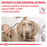 Royal Canin Veterinary Diets Vital Renal Small Dog koiran kuivaruoka 3,5 kg