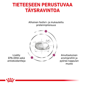 Royal Canin Veterinary Diets Renal Special koiran kuivaruoka 10 kg